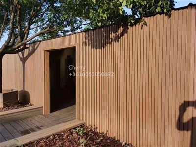 Slat Exterior Wall Panel For Outdoor