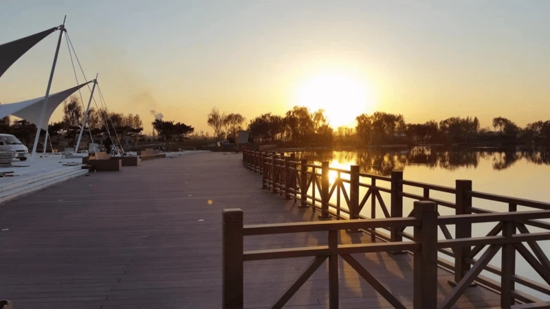 product-800-450 product-800-450